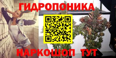 гидра Краснодар